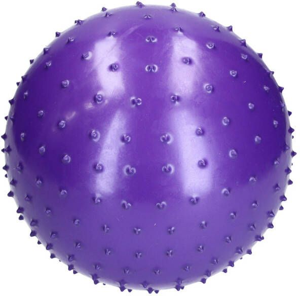 Banzaa Bdo Speelbal Educatief 25cm Paars