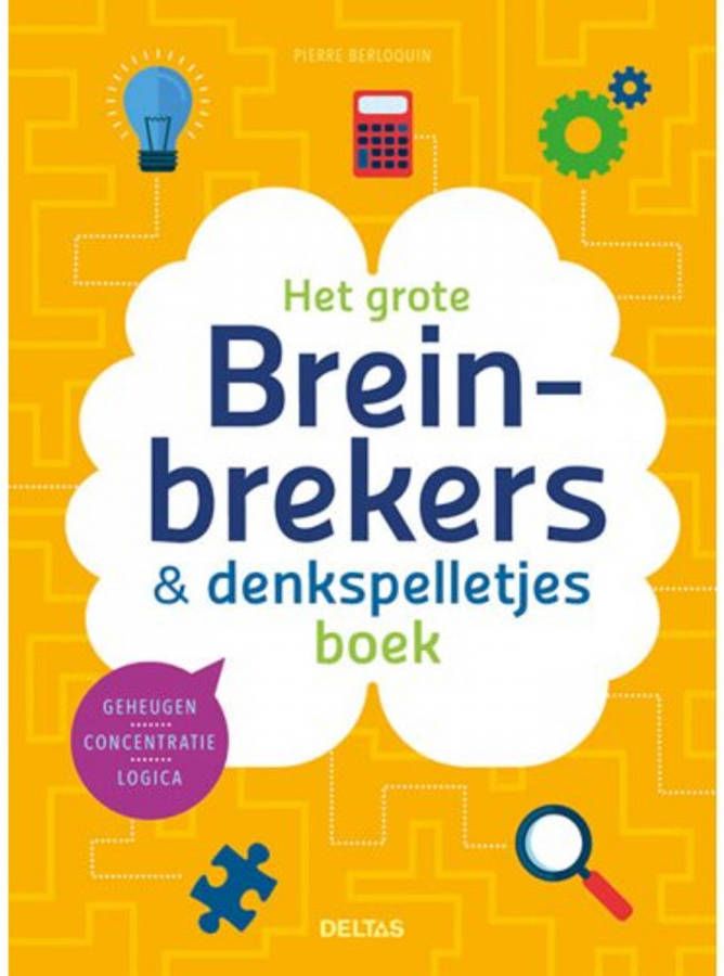 Het grote breinbrekers & denkspelletjes boek Pierre Berloquin