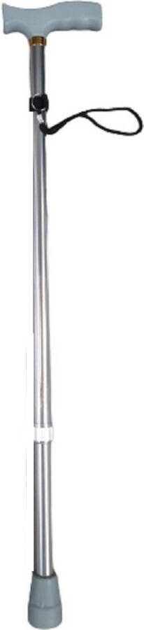 Merkloos Wandelstok Verstelbaar 73 96 Cm Zilver