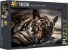 Paagman Rebo Productions Legpuzzel Eye Of The Tiger 1000 Stukjes online kopen