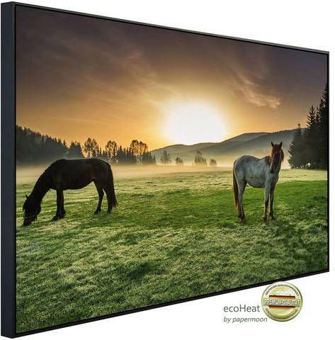 Papermoon Infraroodverwarming Verbindingsstuk over vijver zwart & wit zeer aangename stralingswarmte