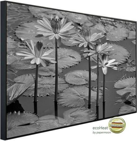 Papermoon Infraroodverwarming Waterlelies, vijver, bloemen, blaadjes zwart & wit zeer aangename stralingswarmte