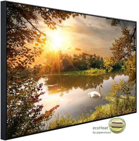 Papermoon Infraroodverwarming Zwaan bij de vijver zeer aangename stralingswarmte