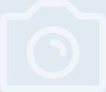 Koeman Flowerbulbs Dahlia Omega