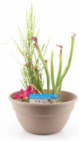 Moerings waterplanten Mini vijver kunststof taupe 2 stuks