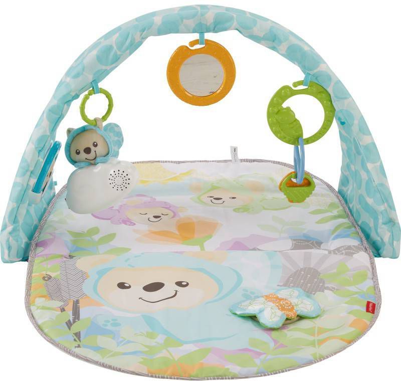 Fisher-Price Vlinderdromen Speelgym met Muziek Speelbogen/dekens