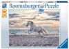 Ravensburger Paard op het strand legpuzzel 500 stukjes online kopen