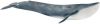 Schleich Wild Life blauwe walvis 14806 online kopen