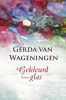 Spiegelserie: Gekleurd glas Gerda van Wageningen online kopen
